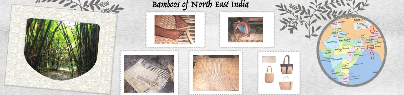 Bamboos of North East India